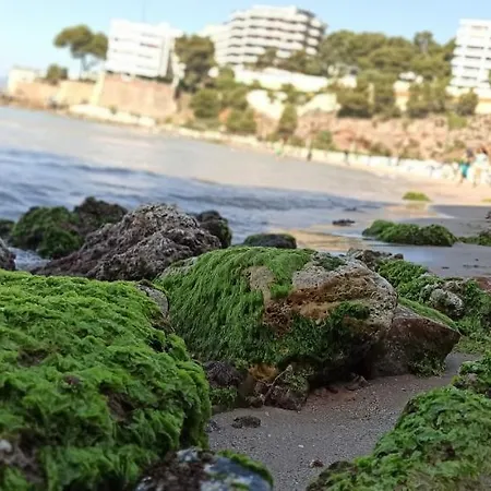 Apartamento Apartamento En La Playa *